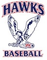 Logo - Hawks AltLogoWhite